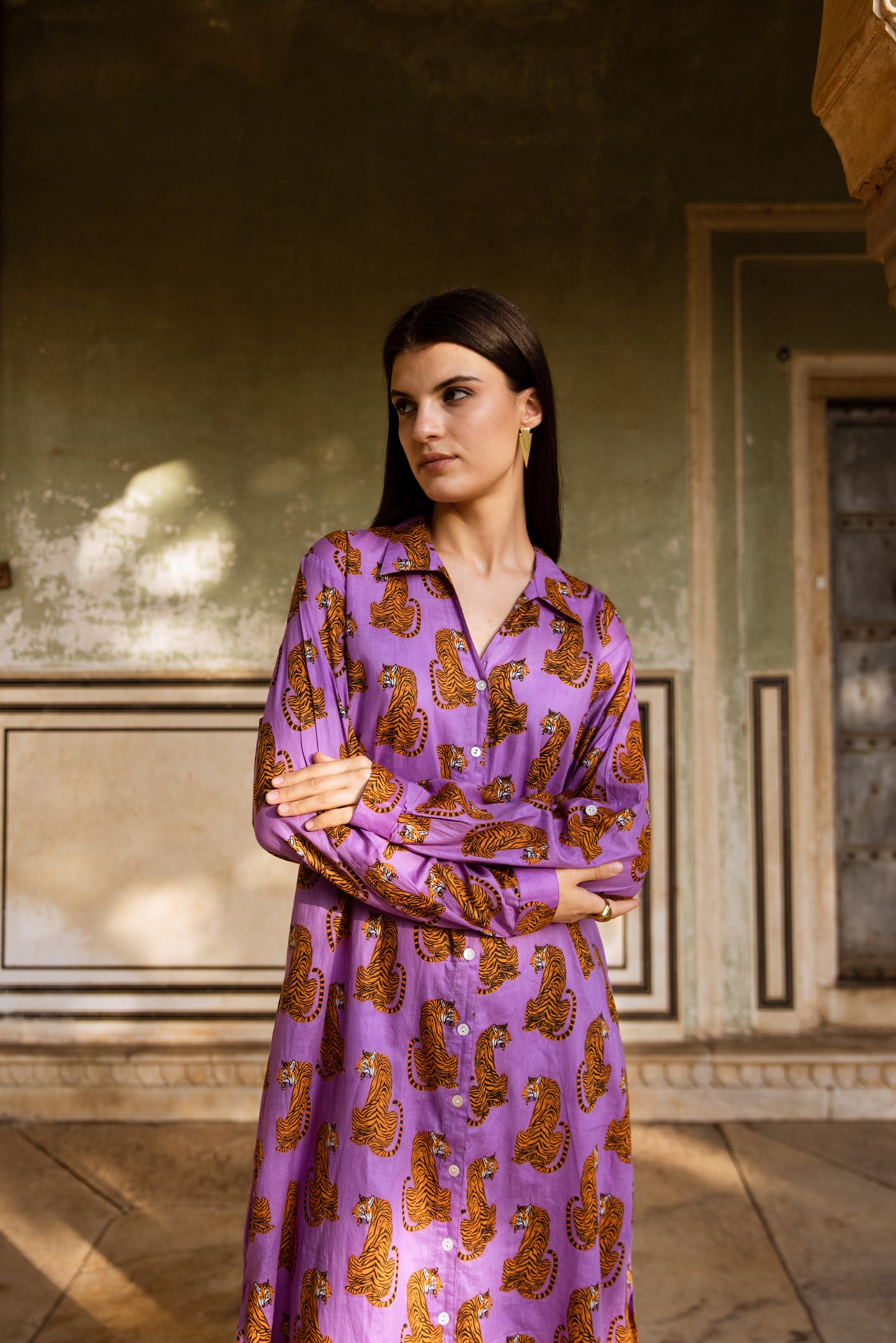 Tiger Shirt Dress